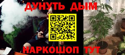 крисы Будённовск