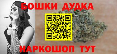 крисы Будённовск