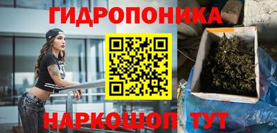 крисы Будённовск