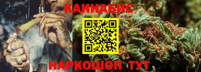 крисы Будённовск