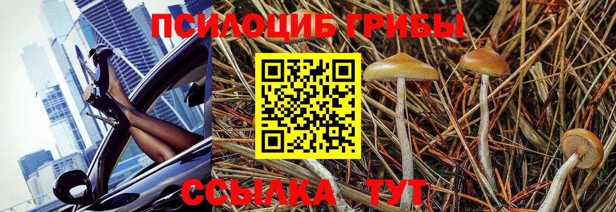 Псилоцибиновые грибы мухоморы Отрадный