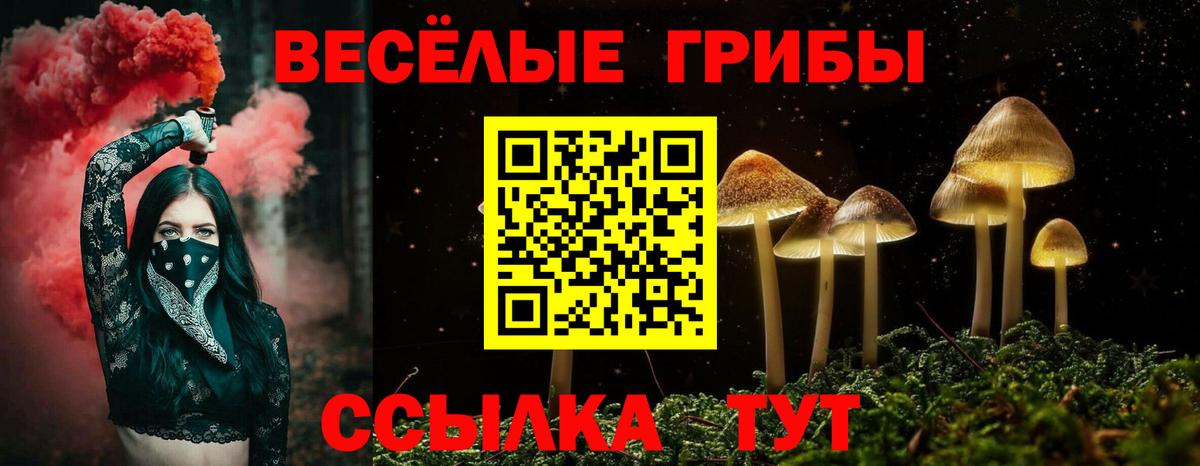 Отрадный  Галлюциногенные грибы Magic Shrooms  Вход с VPN 